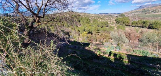 Finca en venta en El Burgo (Málaga)