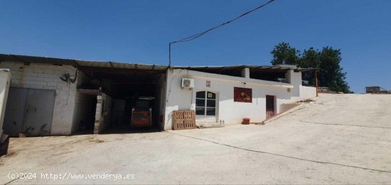 Finca en venta en Tolox (Málaga)