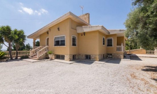  Villa en venta en Elche (Alicante) 