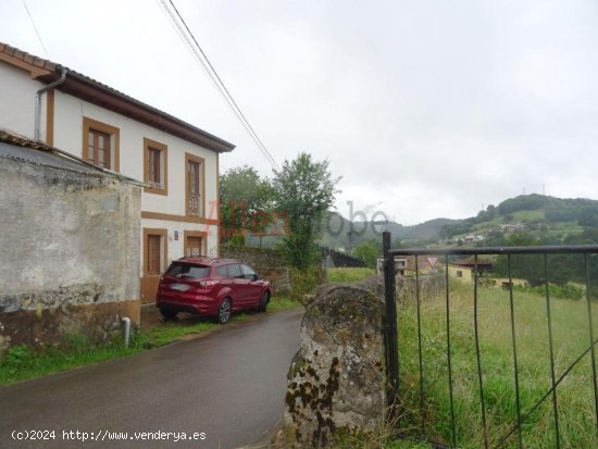 Casa en venta a estrenar en Grado (Asturias)