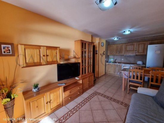 Apartamento en alquiler en Mogán (Las Palmas)