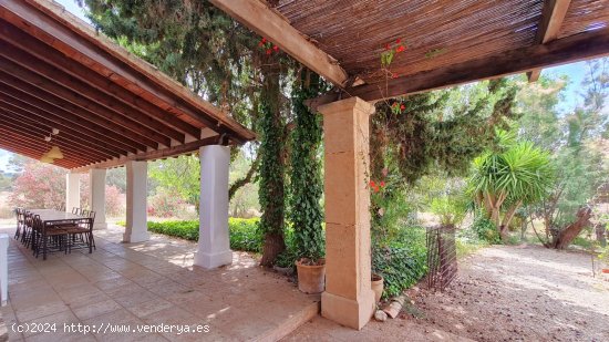 Finca en venta en Calvià (Baleares)