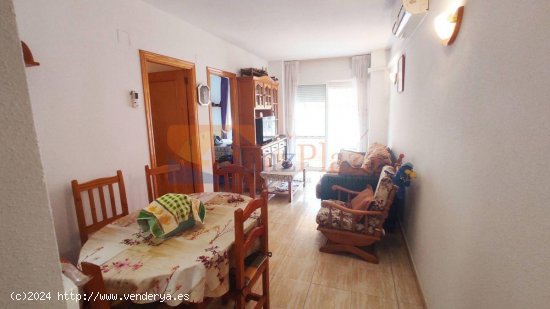 Apartamento en venta en Torrevieja (Alicante)