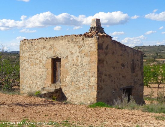 Finca en venta en Maella (Zaragoza)