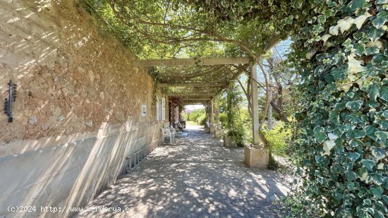 Finca en venta en Marratxí (Baleares)