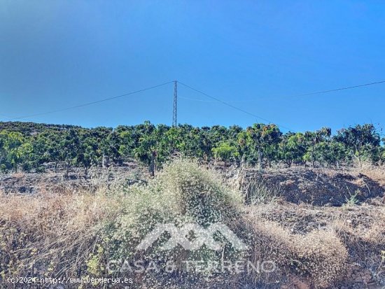 Finca en venta en Benamargosa (Málaga)