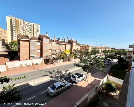 Apartamento en alquiler en San Javier (Murcia)