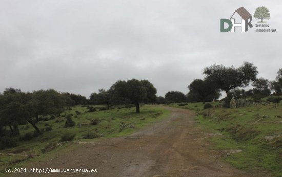 Solar en venta en Cáceres (Cáceres)