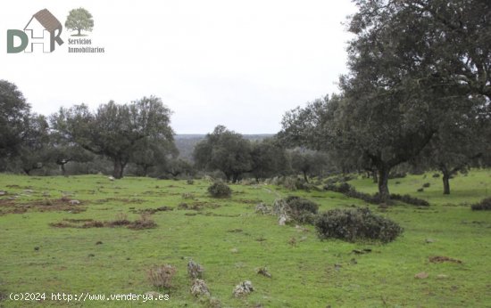 Solar en venta en Cáceres (Cáceres)