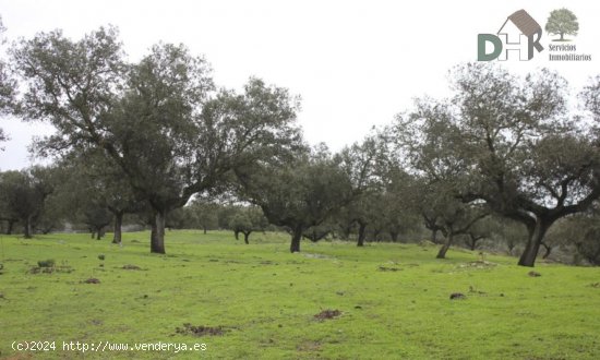 Solar en venta en Cáceres (Cáceres)