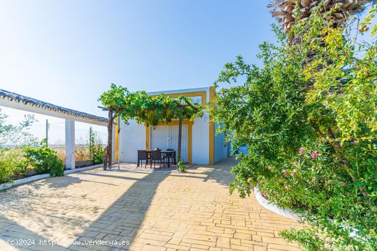 Finca en venta en La Palma del Condado (Huelva)