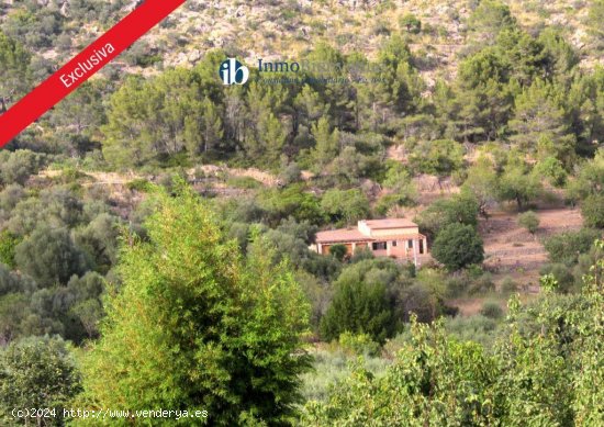  Finca en venta en Puigpunyent (Baleares) 