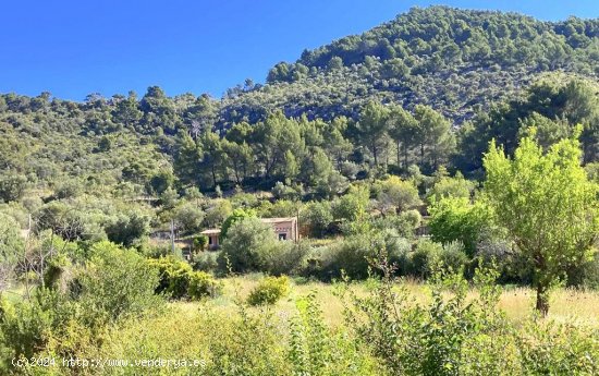 Finca en venta en Puigpunyent (Baleares)