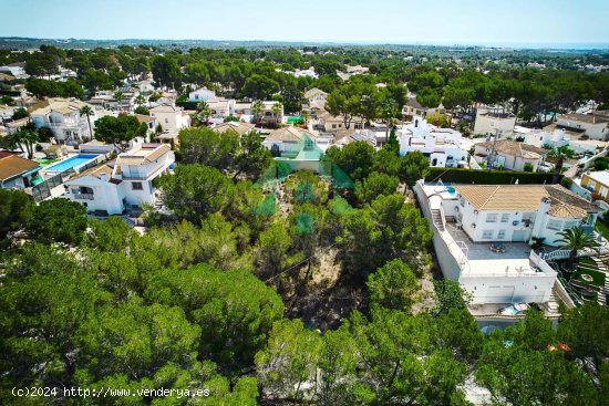  Parcela en venta en Pilar de la Horadada (Alicante) 