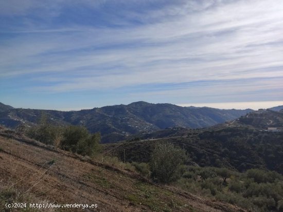 Parcela en venta en Canillas de Albaida (Málaga)