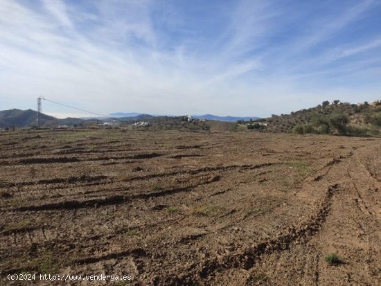 Parcela en venta en Canillas de Albaida (Málaga)