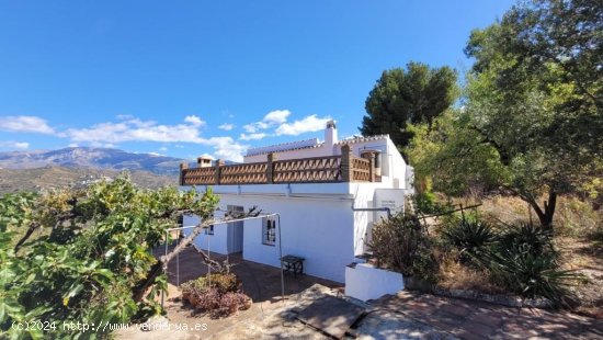 Villa en venta en Sayalonga (Málaga)