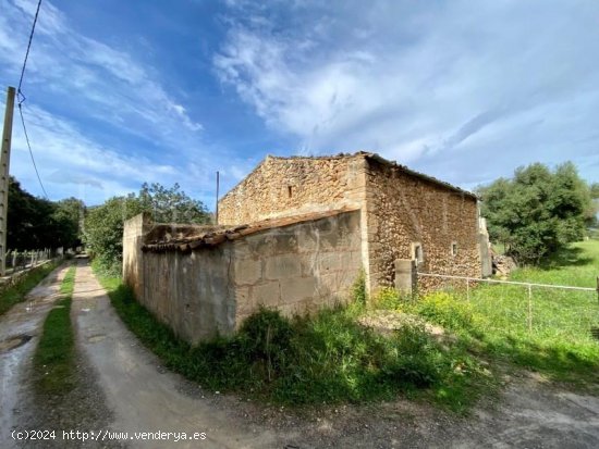 Finca en venta en Pollença (Baleares)