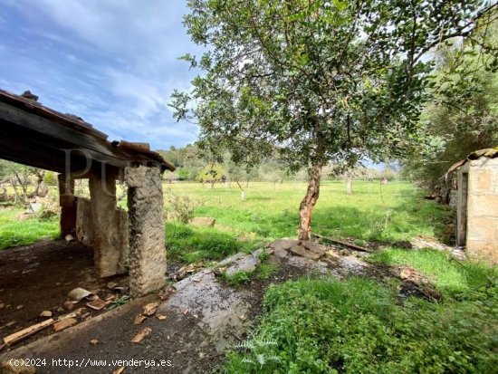 Finca en venta en Pollença (Baleares)