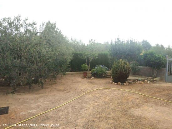 Finca en venta en Maspujols (Tarragona)