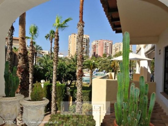 Apartamento en venta en Torrevieja (Alicante)