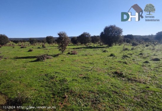 Solar en venta en Cáceres (Cáceres)