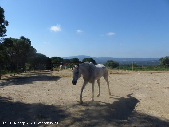 Finca en venta en Fogars de Montclús (Barcelona)