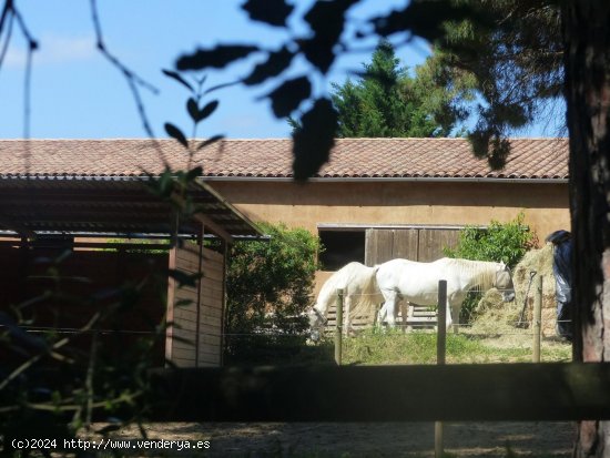 Finca en venta en Fogars de Montclús (Barcelona)