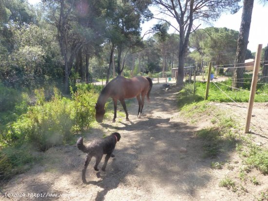 Finca en venta en Fogars de Montclús (Barcelona)