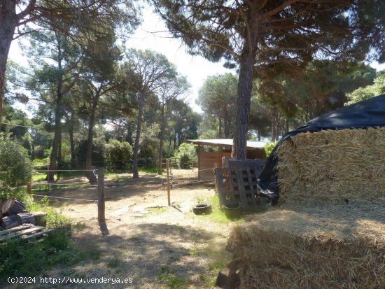 Finca en venta en Fogars de Montclús (Barcelona)