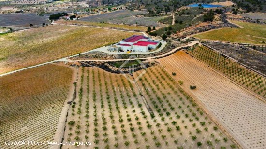 Finca en venta en Pinoso (Alicante)