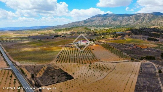 Finca en venta en Pinoso (Alicante)