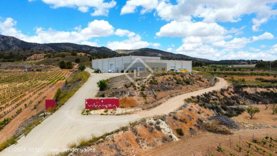 Finca en venta en Pinoso (Alicante)