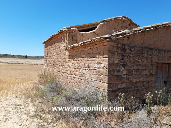 Finca en venta en Ontiñena (Huesca)