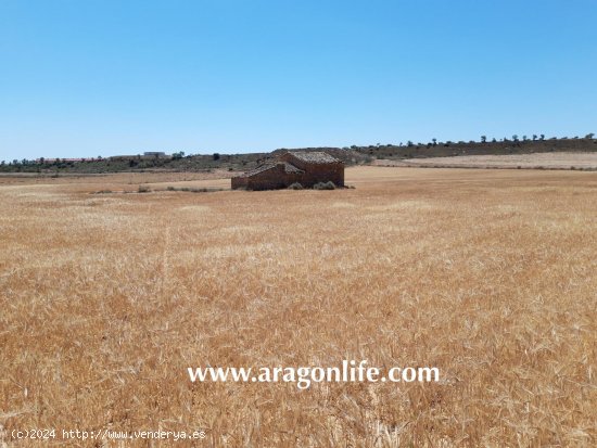 Finca en venta en Ontiñena (Huesca)