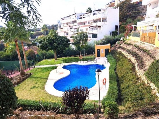 Apartamento en alquiler en Mijas (Málaga)