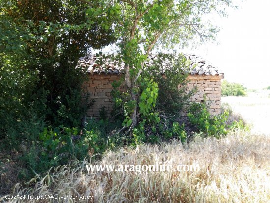 Finca en venta en Ontiñena (Huesca)