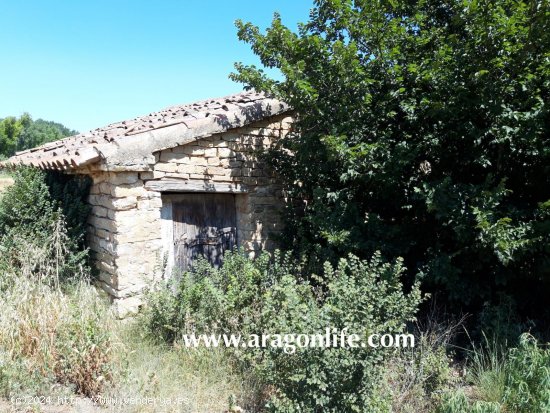 Finca en venta en Ontiñena (Huesca)