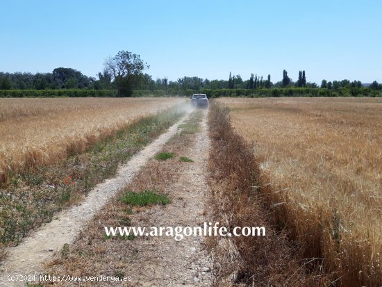 Finca en venta en Ontiñena (Huesca)