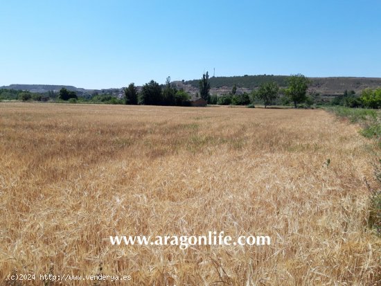 Finca en venta en Ontiñena (Huesca)