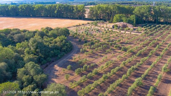 Casa en venta en Llagostera (Girona)