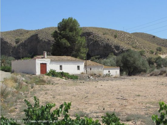  Finca en venta en Antas (Almería) 