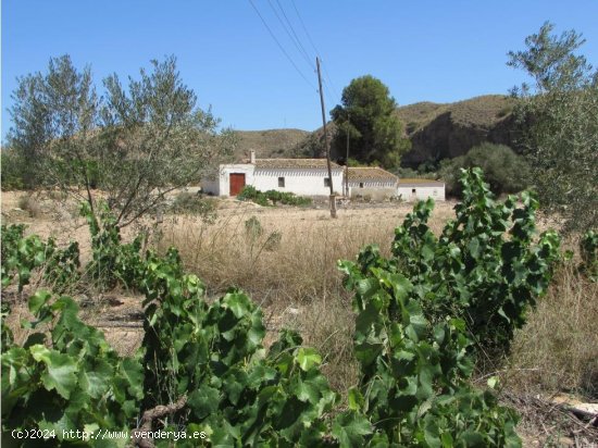 Finca en venta en Antas (Almería)