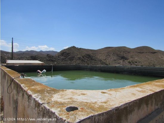 Finca en venta en Antas (Almería)