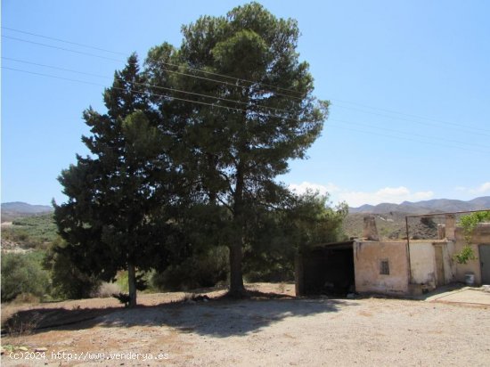 Finca en venta en Antas (Almería)