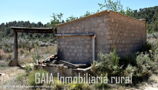 Finca en venta en Mazaleón (Teruel)