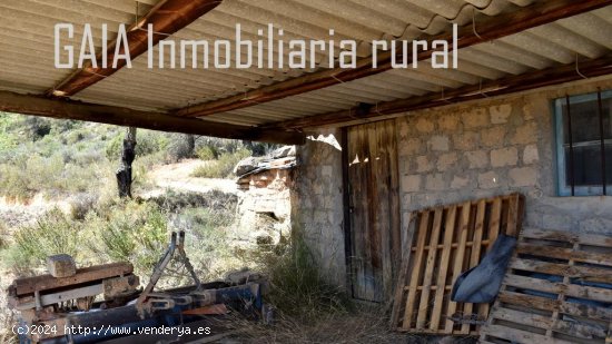 Finca en venta en Mazaleón (Teruel)