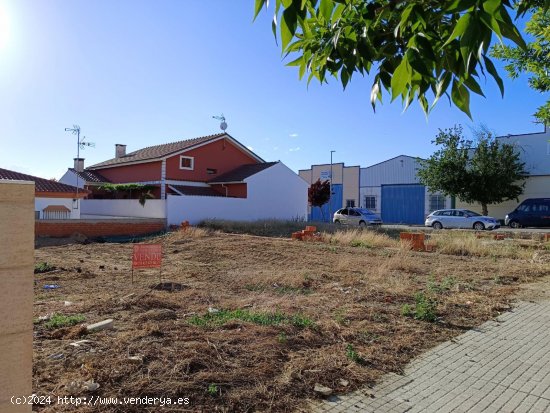 Solar en venta en Monesterio (Badajoz)