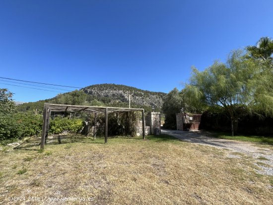 Finca en alquiler en Pollença (Baleares)