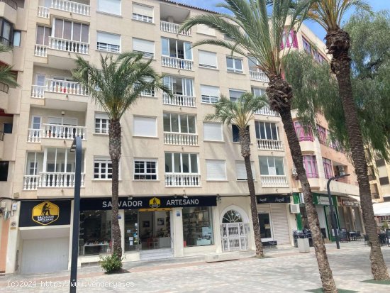 Apartamento en venta en Guardamar del Segura (Alicante)